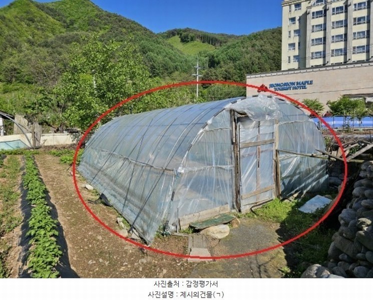 2024타경31179 강원특별자치도 정선군 남면 무릉리 469-1 농지 경매 이미지