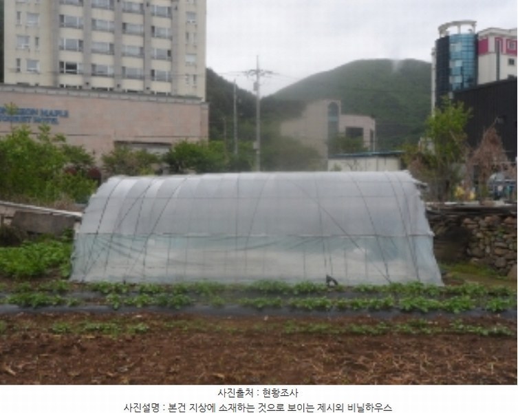 2024타경31179 강원특별자치도 정선군 남면 무릉리 469-1 농지 경매 이미지