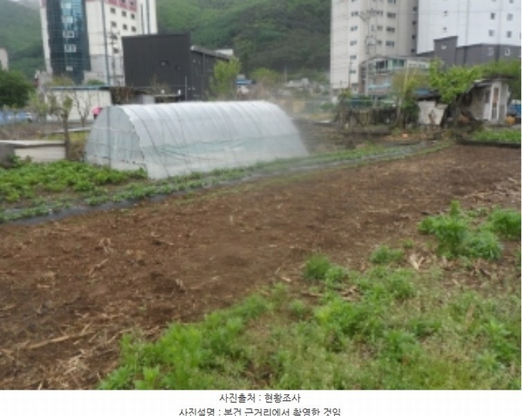 2024타경31179 강원특별자치도 정선군 남면 무릉리 469-1 농지 경매 이미지