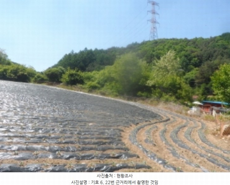 2024타경31353 강원특별자치도 평창군 봉평면 유포리 63-34 농지 경매 이미지
