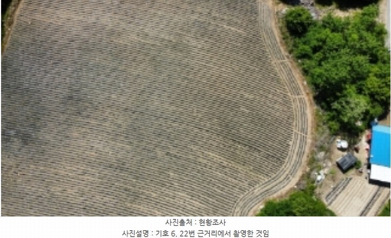 2024타경31353 강원특별자치도 평창군 봉평면 유포리 63-34 농지 경매 이미지