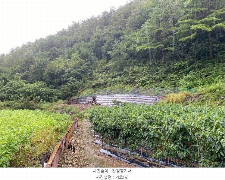 2024타경32264 강원특별자치도 정선군 정선읍 여탄리 348 농지 경매 이미지