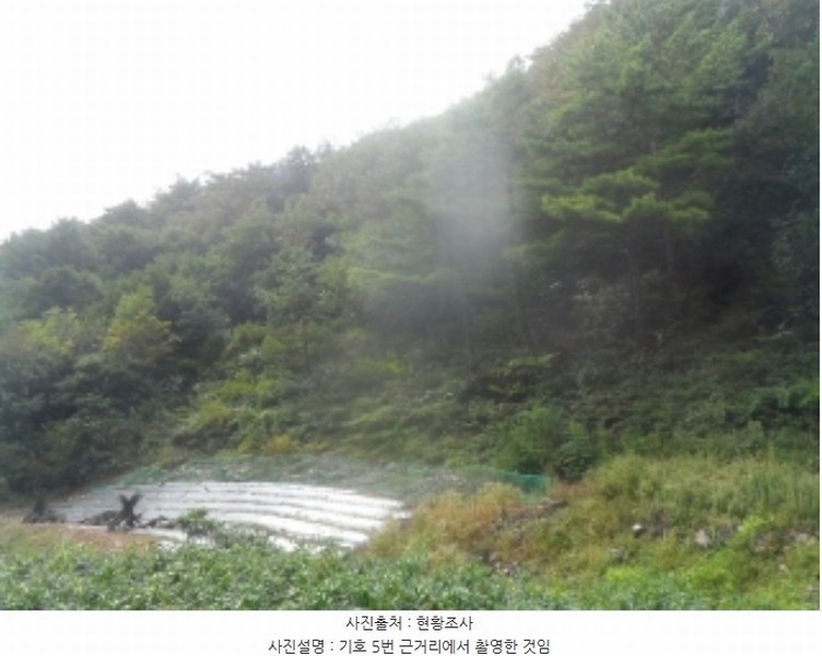 2024타경32264 강원특별자치도 정선군 정선읍 여탄리 348 농지 경매 이미지