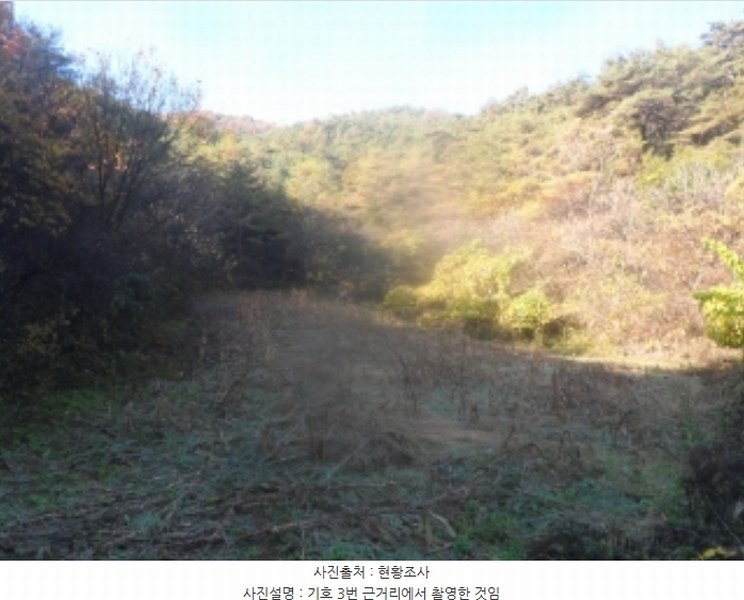 2024타경32790 강원특별자치도 영월군 한반도면 광전리 77 농지 경매 이미지