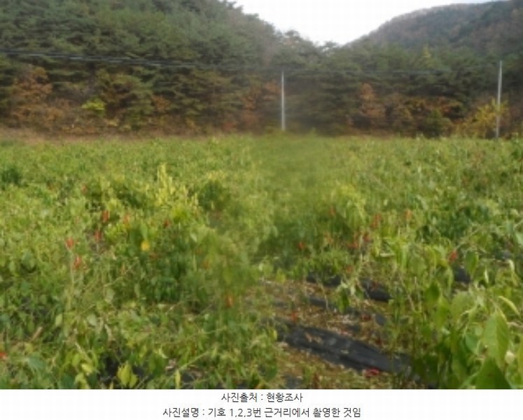 2024타경32844 강원특별자치도 정선군 정선읍 용탄리 746 농지 경매 이미지