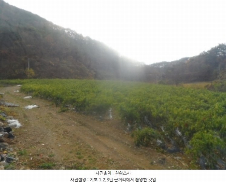 2024타경32844 강원특별자치도 정선군 정선읍 용탄리 746 농지 경매 이미지
