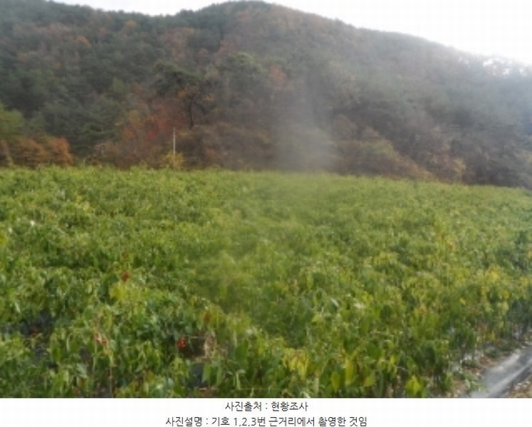 2024타경32844 강원특별자치도 정선군 정선읍 용탄리 746 농지 경매 이미지