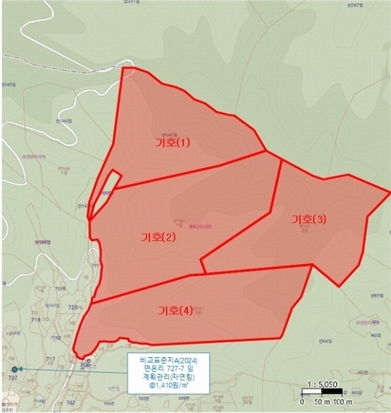 2024타경33229 강원특별자치도 평창군 봉평면 면온리 산141-3 임야 경매 이미지