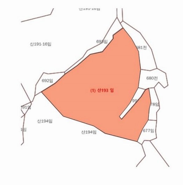 2024타경33243 강원특별자치도 정선군 정선읍 애산리 산193 임야 경매 이미지