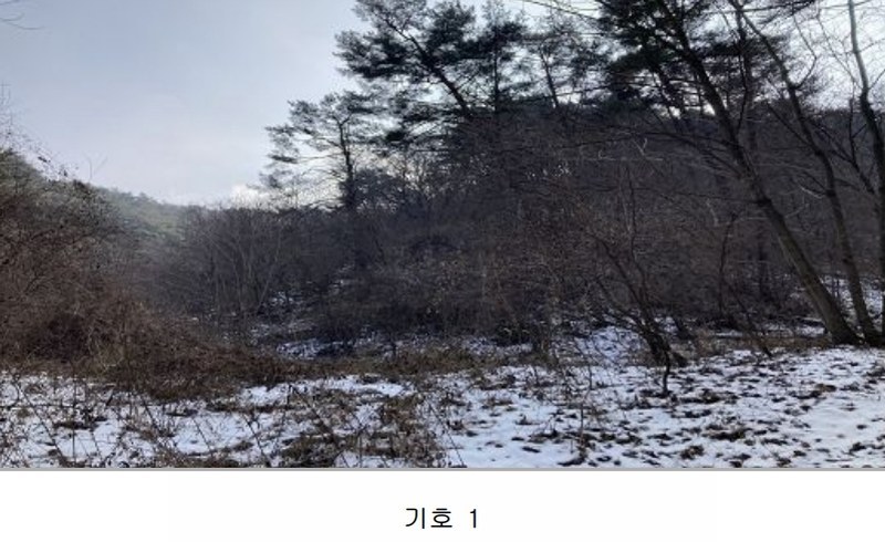 2024타경33243 강원특별자치도 정선군 정선읍 애산리 산193 임야 경매 이미지