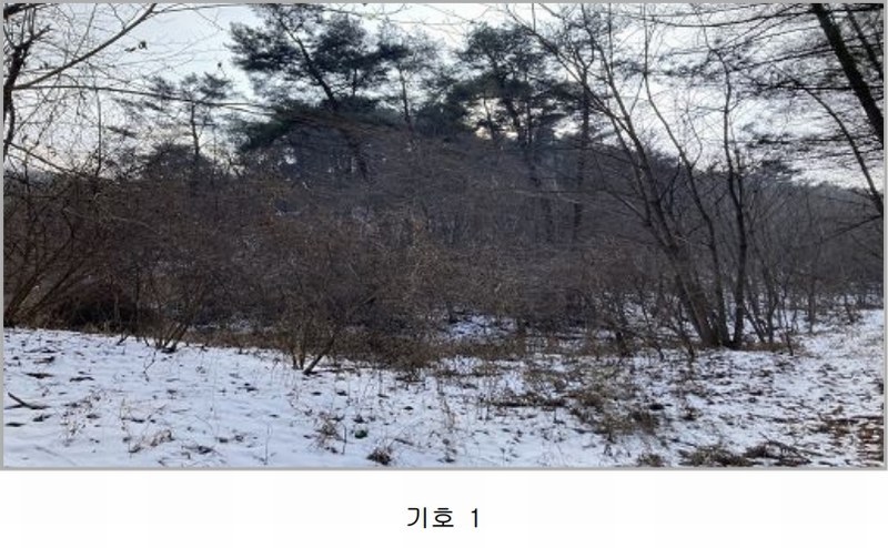 2024타경33243 강원특별자치도 정선군 정선읍 애산리 산193 임야 경매 이미지