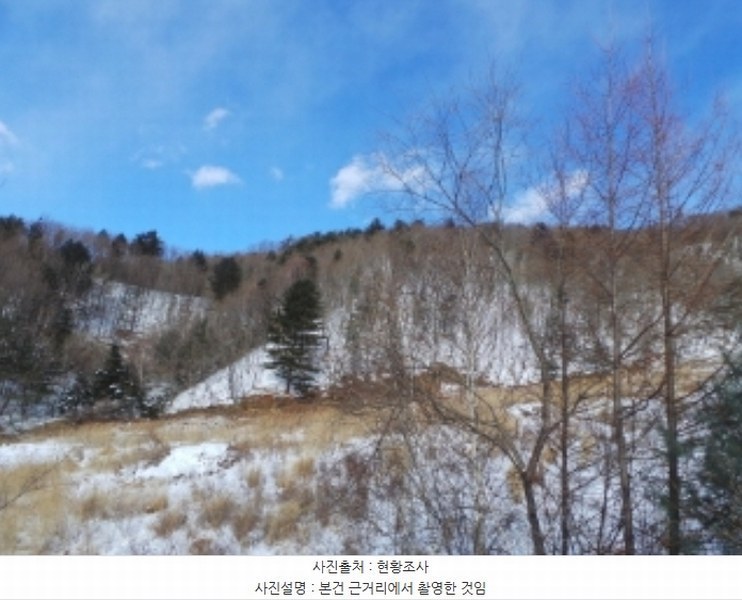 2024타경33755 강원특별자치도 평창군 봉평면 면온리 산141-4 임야 경매 이미지