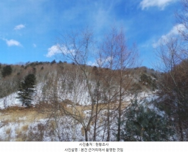 2024타경33755 강원특별자치도 평창군 봉평면 면온리 산141-4 임야 경매 이미지