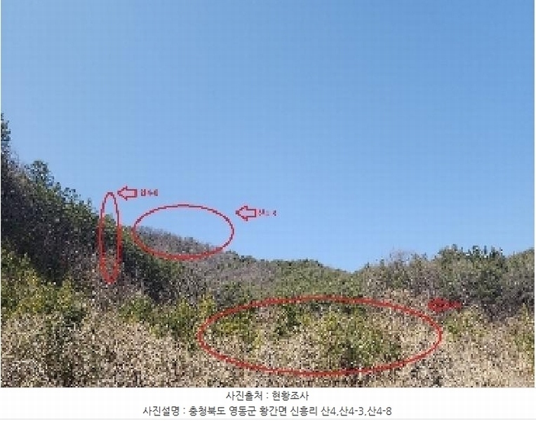 2025타경59 충청북도 영동군 황간면 신흥리 산4 임야 경매 이미지