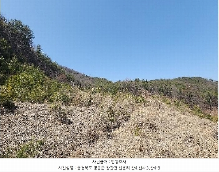 2025타경59 충청북도 영동군 황간면 신흥리 산4 임야 경매 이미지