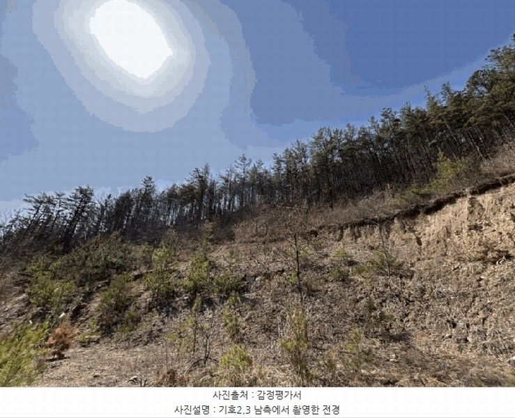 2025타경59 충청북도 영동군 황간면 신흥리 산4 임야 경매 이미지