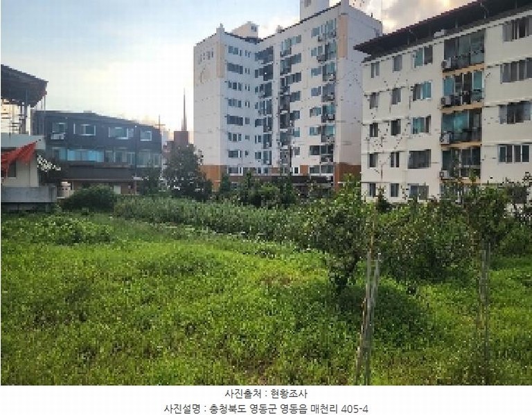 2025타경103 충청북도 영동군 영동읍 매천리 405-4 과수원 경매 이미지
