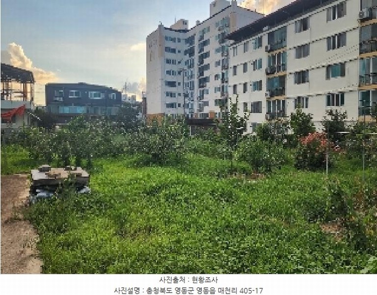 2025타경103 충청북도 영동군 영동읍 매천리 405-4 과수원 경매 이미지