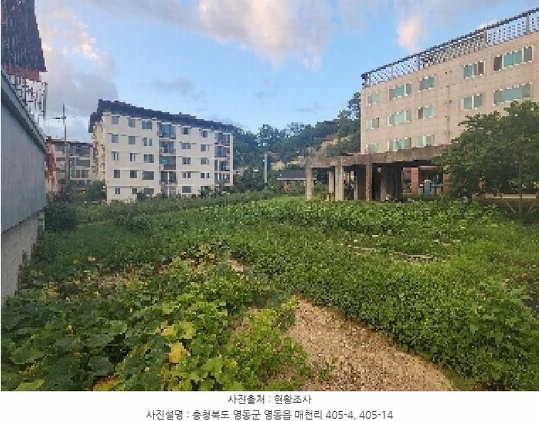 2025타경103 충청북도 영동군 영동읍 매천리 405-4 과수원 경매 이미지