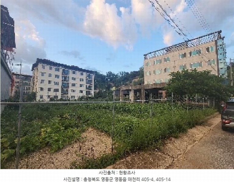 2025타경103 충청북도 영동군 영동읍 매천리 405-4 과수원 경매 이미지