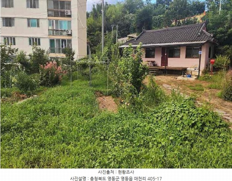 2025타경103 충청북도 영동군 영동읍 매천리 405-4 과수원 경매 이미지