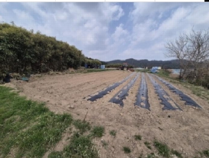 2025타경370 경상북도 경주시 외동읍 구어리 765-2 농지 경매 이미지