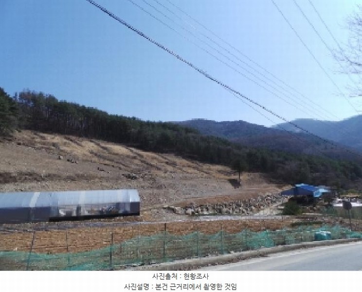 2025타경394 강원특별자치도 평창군 미탄면 평안리 산49 임야 경매 이미지