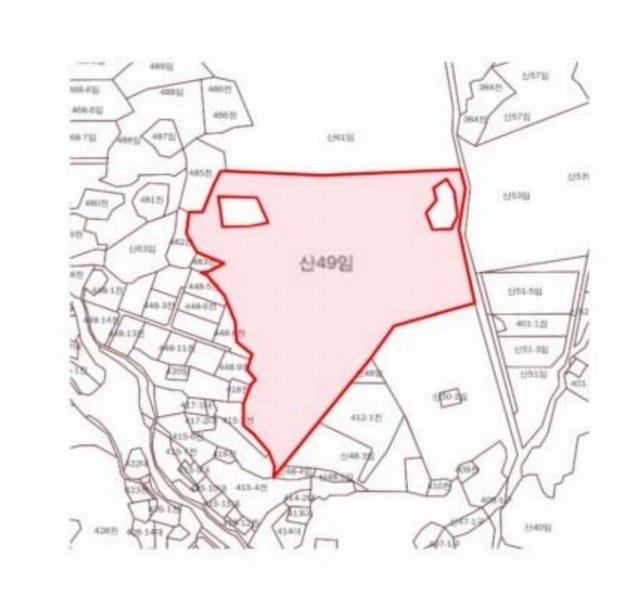 2025타경394 강원특별자치도 평창군 미탄면 평안리 산49 임야 경매 이미지