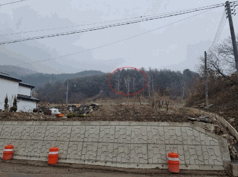 2025타경394 강원특별자치도 평창군 미탄면 평안리 산49 임야 경매 이미지