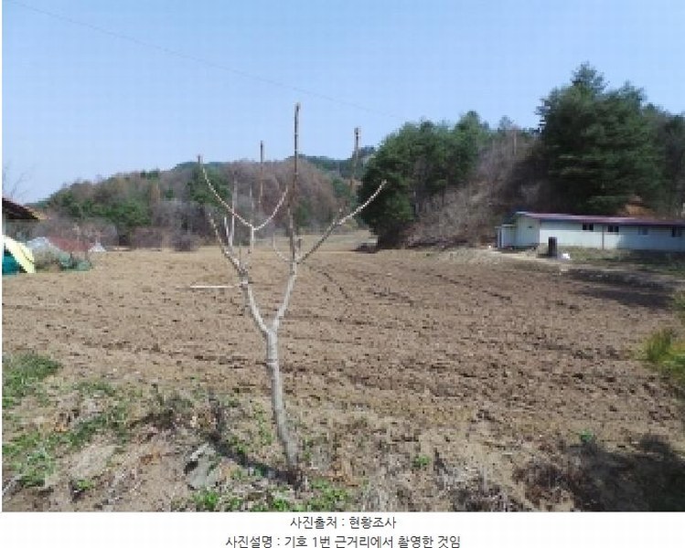 2025타경455 강원특별자치도 평창군 진부면 상진부리 122 주택 경매 이미지
