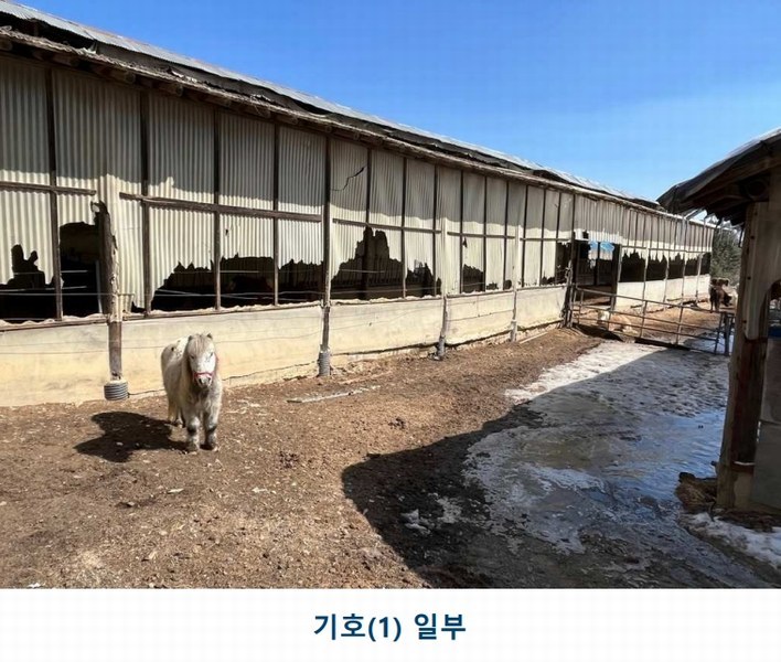 2025타경30104 강원특별자치도 평창군 대관령면 횡계리 산1-137 농가관련시설 경매 이미지