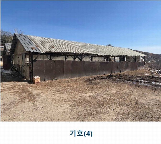 2025타경30104 강원특별자치도 평창군 대관령면 횡계리 산1-137 농가관련시설 경매 이미지