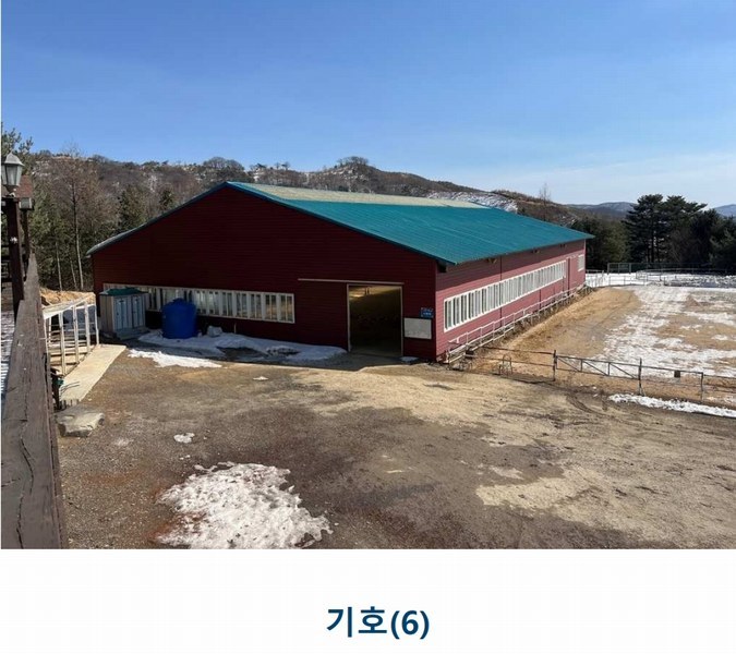 2025타경30104 강원특별자치도 평창군 대관령면 횡계리 산1-137 농가관련시설 경매 이미지