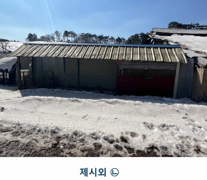2025타경30104 강원특별자치도 평창군 대관령면 횡계리 산1-137 농가관련시설 경매 이미지