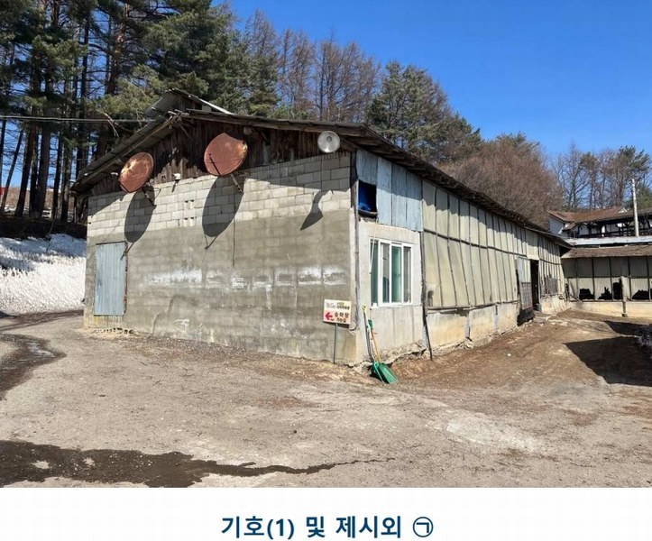 2025타경30104 강원특별자치도 평창군 대관령면 횡계리 산1-137 농가관련시설 경매 이미지