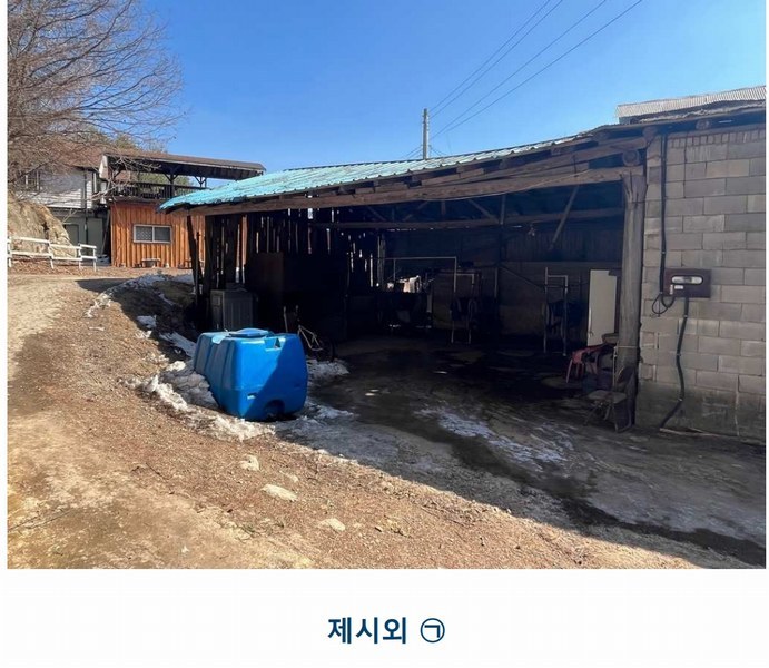 2025타경30104 강원특별자치도 평창군 대관령면 횡계리 산1-137 농가관련시설 경매 이미지