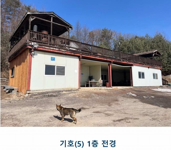 2025타경30104 강원특별자치도 평창군 대관령면 횡계리 산1-137 농가관련시설 경매 이미지