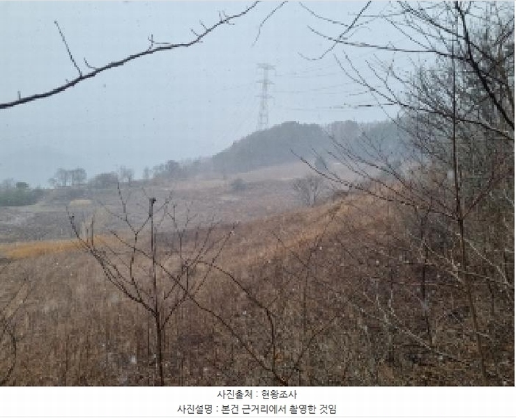 2025타경30296 강원특별자치도 정선군 화암면 석곡리 99-2 농지 경매 이미지