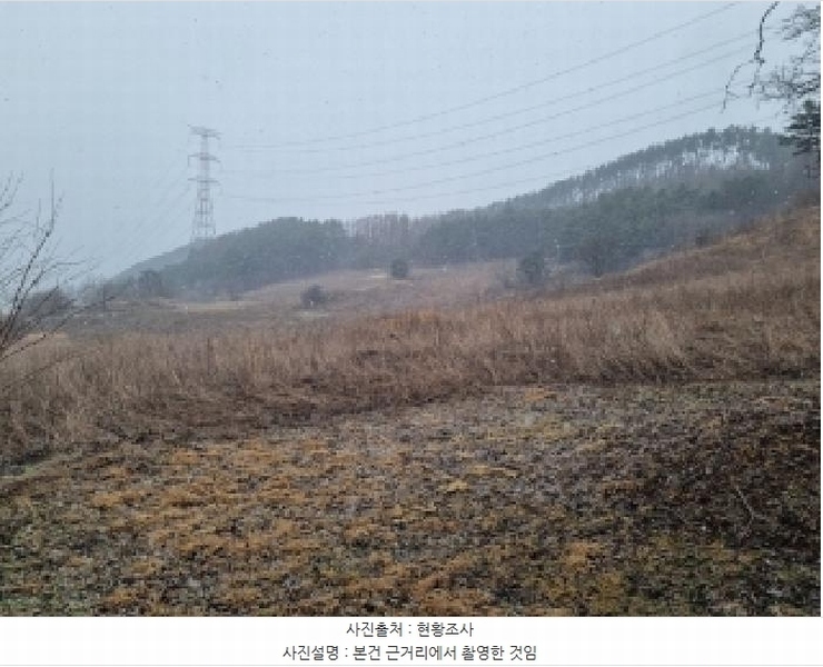 2025타경30296 강원특별자치도 정선군 화암면 석곡리 99-2 농지 경매 이미지