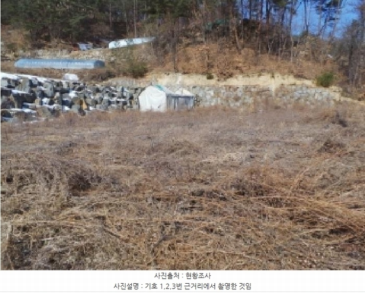 2025타경30365 강원특별자치도 영월군 주천면 도천리 692-37 임야 경매 이미지