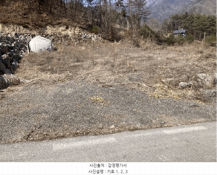 2025타경30365 강원특별자치도 영월군 주천면 도천리 692-37 임야 경매 이미지