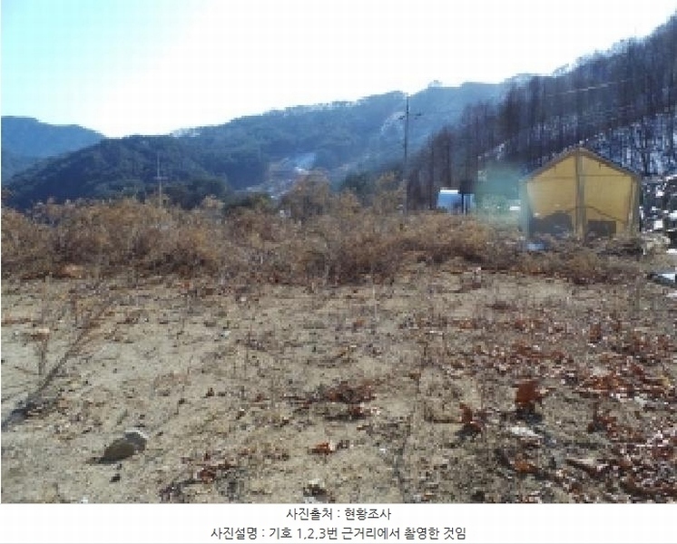 2025타경30365 강원특별자치도 영월군 주천면 도천리 692-37 임야 경매 이미지