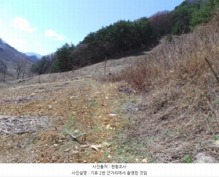 2025타경30387 강원특별자치도 정선군 사북읍 사북리 22 대지 경매 이미지