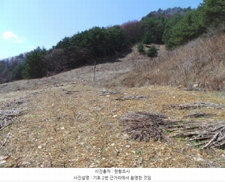 2025타경30387 강원특별자치도 정선군 사북읍 사북리 22 대지 경매 이미지