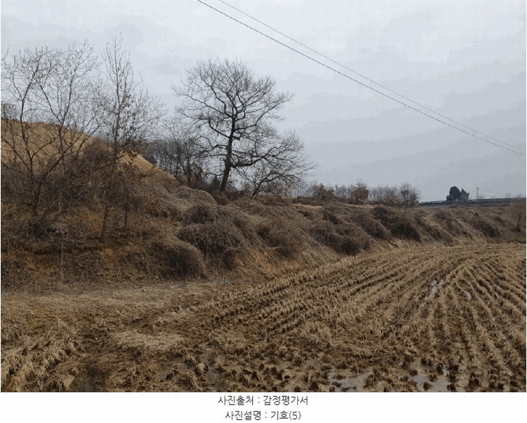 2025타경30393 충청북도 음성군 대소면 미곡리 13 농지 경매 이미지