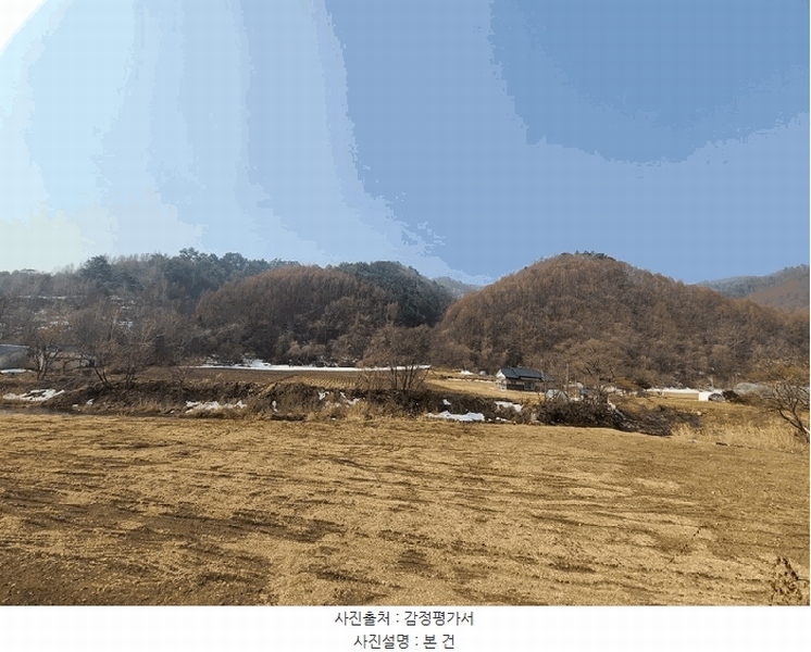 2025타경30395 강원특별자치도 평창군 용평면 노동리 산205 임야 경매 이미지