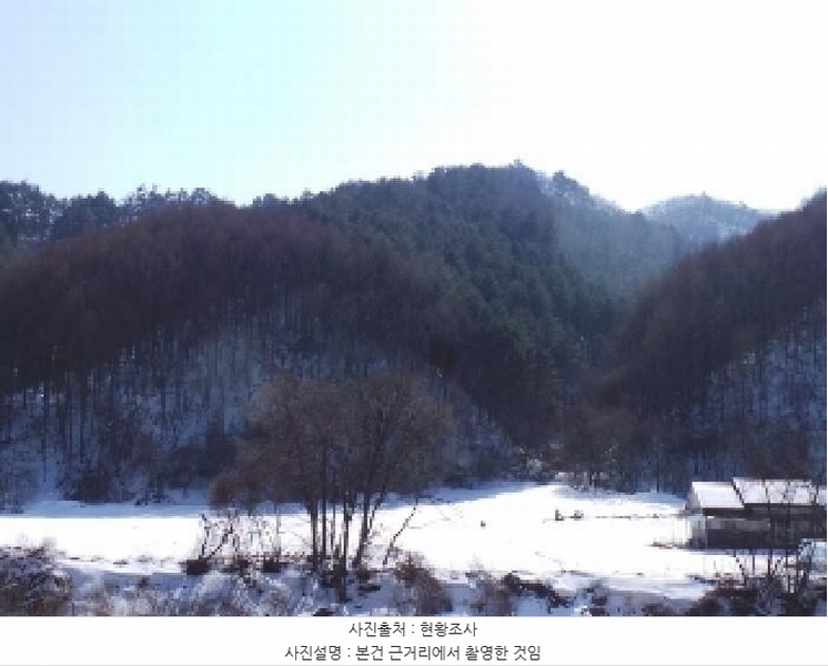 2025타경30395 강원특별자치도 평창군 용평면 노동리 산205 임야 경매 이미지