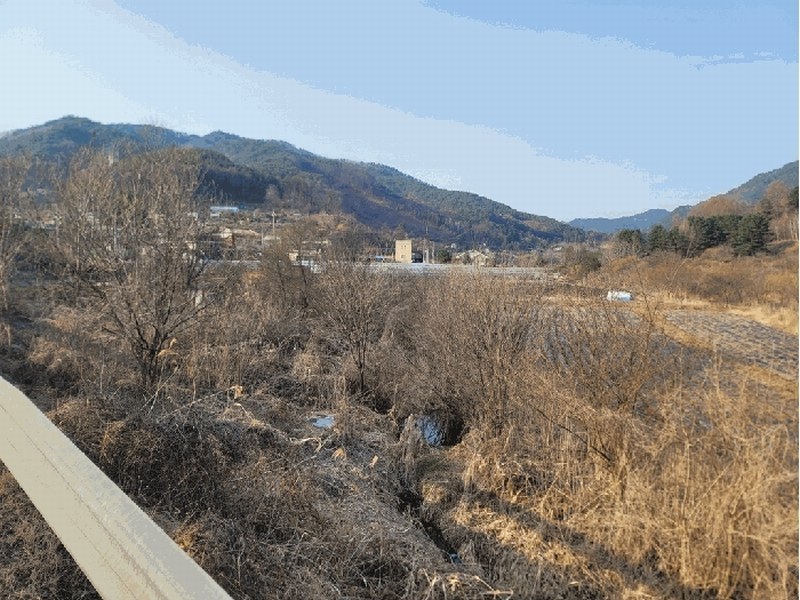 2025타경30403 강원특별자치도 영월군 무릉도원면 운학리 856 농지 경매 이미지