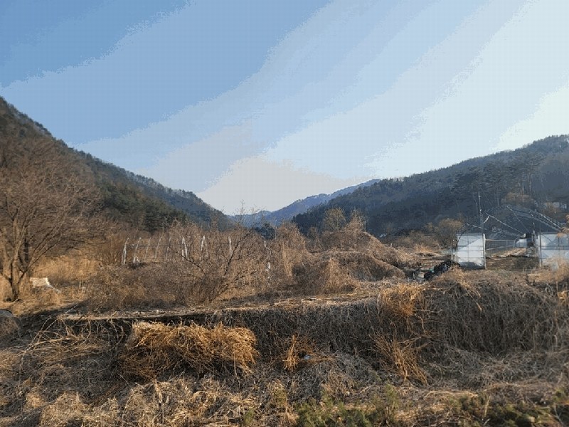 2025타경30403 강원특별자치도 영월군 무릉도원면 운학리 856 농지 경매 이미지