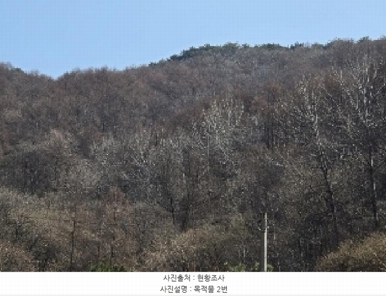 2025타경30406 충청북도 충주시 살미면 향산리 산72-1 임야 경매 이미지